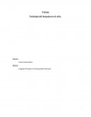 CLASIFICACIÓN BASADA EN LOS ASPECTOS FENOMENOLÓGICOS.