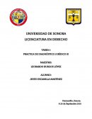 PRACTICA DE DIAGNÓSTICO JURÍDICO 3 SITUACIÓN JURÍDICA