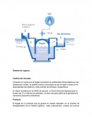 Sistema de negocio / Análisis del mercado
