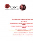 Ensayo sobre pornografía.