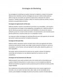 Ensayo - Estrategias de Marketing.