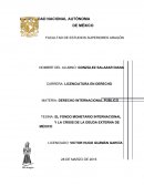TESINA: EL FONDO MONETARIO INTERNACIONAL