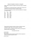 Aplicación del algebra de matrices en criptografía.