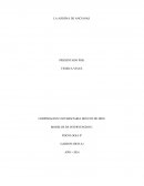 LA ASESINA DE ANCIANAS.