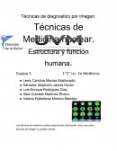 Técnicas de diagnostico por imagen.