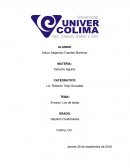 Ensayo: Los de abajo