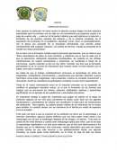 Ensayo 3- FORMACION HOLISTICA.