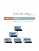 Estructura de mercadeo..