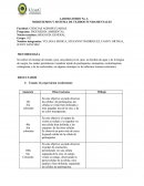 MERISTEMOS Y SISTEMA DE TEJIDOS FUNDAMENTALES