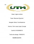 Ensayo de logica juridica.