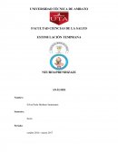 El experimento Kellog: el niño y el chimpancé