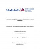 Terapia de pilates en mujeres embarazadas..