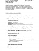 TRABAJO NIVELES DE RIESGO OBSTÉTRICO.