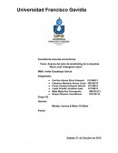 Tema: Avance del plan de emarketing de la empresa “Next Level videogame store”.