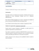 Trabajo: Gestión del riesgo en una organización.