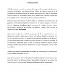 EL SISTEMA CIRCULATORIO EN LOS SERES VIVOS