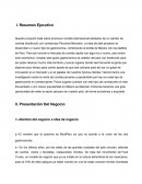 Oyecto de Inversión Mexiperú.