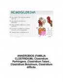 REGISTRO DE ELEMENTOS DE PROTECCIÓN PERSONAL ENTREGADOS POR PREVENCIÓN DE RIESGOS.