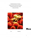 PArasitologia e Impacto Social.