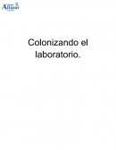 Colonizacion basica de bacterias.