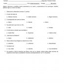 PRUEBA DE LECTURA COMPLEMENTARIA “MAURO OJOS BRILLANTES”