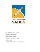 ACT. PRUEBA DE MEDIA.