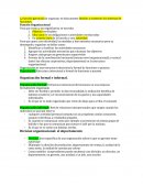 La función gerencial de organizar es básicamente diseñar y mantener los sistemas de funciones.
