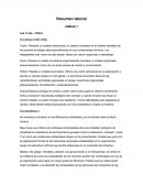 Resumen laboral UNIDAD 1 Las 3 eras – Palaci