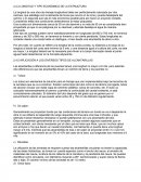 LONGITUD Y TIPO ECONÓMICO DE LA ESTRUCTURA.