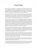 Ensayo sobre cosecha de agua