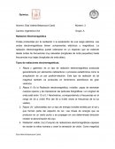 Tipos de Radiaciones.