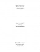 Programa de Educación Maestría en Liderazgo