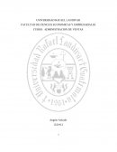 CICLO LARGO DEL PROCESO DE PREPARACIÓN PARA ANALIZAR Y RESOLVER EL CASO