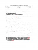 Geologia La datacion absoluta es un procedimiento técnico empleado para determinar la edad absoluta de rocas