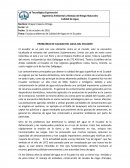 Septimo Foro del Agua Ensayo.