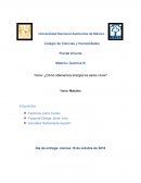 Materia: Química III Tema: ¿Cómo obtenemos energía los seres vivos?