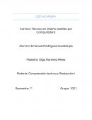 Reseña sepultura 13