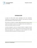 La clínica San Antonio brinda servicios odontológicos tales como, prostodoncia, rehabilitación oral, odontología preventiva, endodoncia. Ya que cuenta con un personal equipo especializado para realizar todos los procesos.