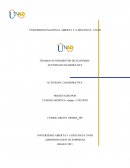 Administracion de empresas IBAGUE 2015