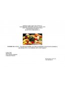 PROYECTO DE APRENDIZAJE N° 1