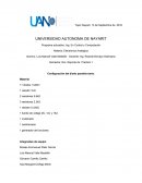 Electrónica Analógica.