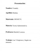 Las 3 Empresas y Según sus entornos.