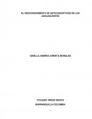 El desconocimiento de los anticonceptivos