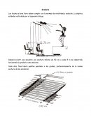 Los locales al aire libre deben cumplir con la normas de visibilidad y audición. La isóptica estándar está dada por el siguiente dibujo..