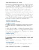 ¿Cómo afecta la temperatura a las plantas?.