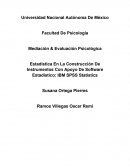Estadística En La Construcción De Instrumentos Con Apoyo De Software Estadístico.