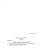 Aspectos Legales de la Protección Civil en Venezuela.