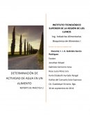 Determinación de Aw en un alimento.