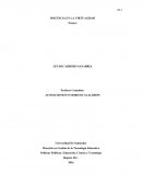 CARACTERÍSTICAS DEL DOCENTE VIRTUAL