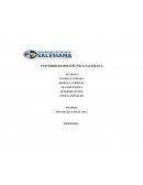 LA CONTABILIDAD Y AUDITORIA TERCER CICLO GRUPO 1.